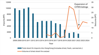 Hong Kong shark fin seizures