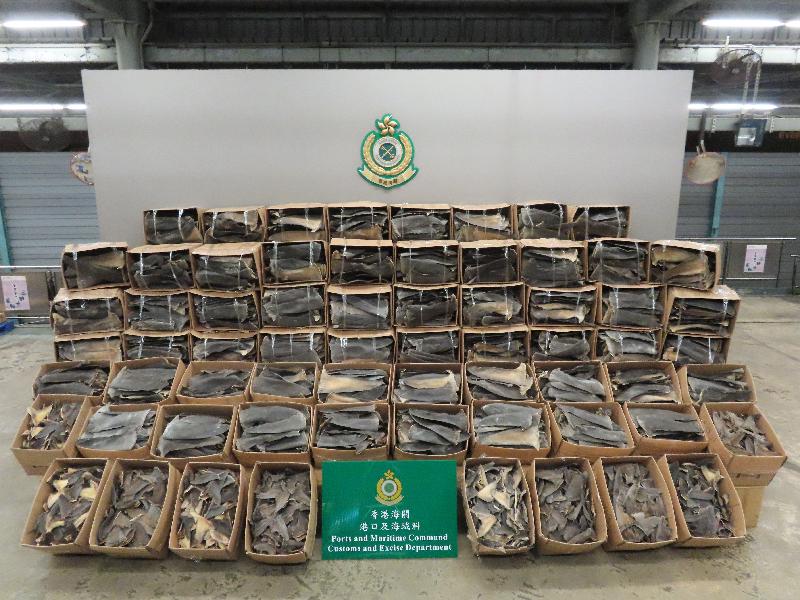 Hong Kong shark fin seizures