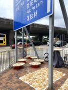 Dried Seafood Street